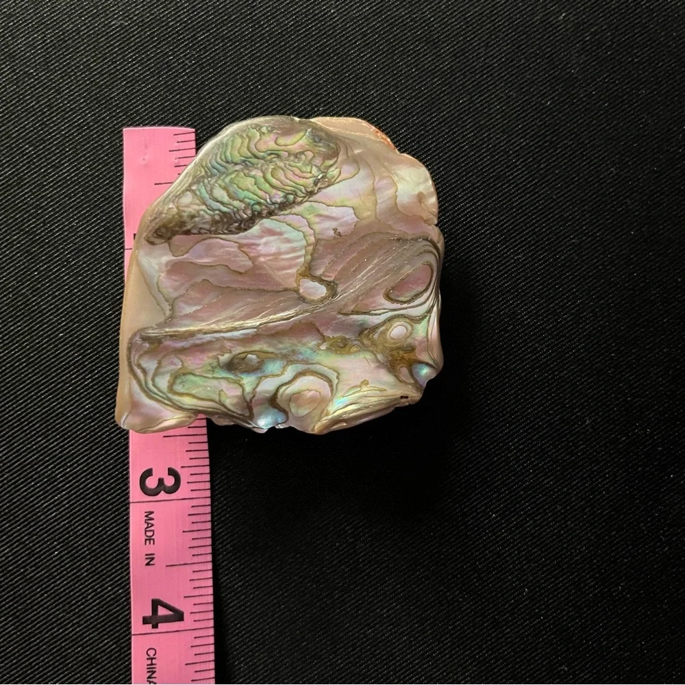 Iridescent, Vintage Abalone Shell Brooch